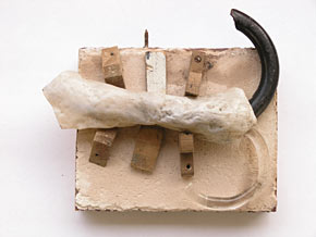 brenn's tierleben: silberfischchen 2005
