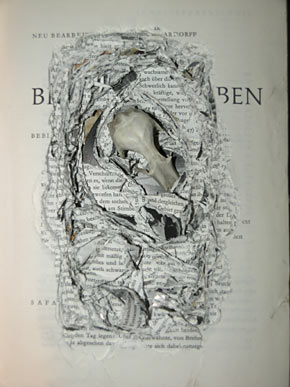 brenn's tierleben: tierleben 2005