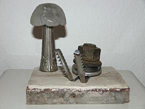 brenn's tierleben: kasiopeia 2005