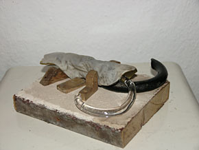 brenn's tierleben: silberfischchen 2005