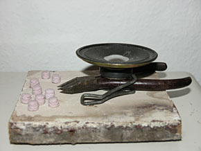 brenn's tierleben: skarabäus 2005